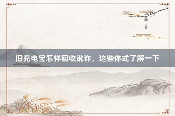 旧充电宝怎样回收讹诈，这些体式了解一下