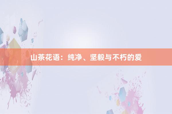 山茶花语:纯净、坚毅与不朽的爱